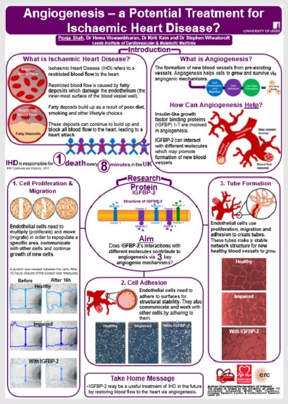 A portrait poster with a white background and purple title bar at the top. The top third has two boxes introducing the main concepts. The bottom two thirds has five boxes of different shapes and sizes explaining the aim and results of the research, with a one sentence "take home message" in the last box.