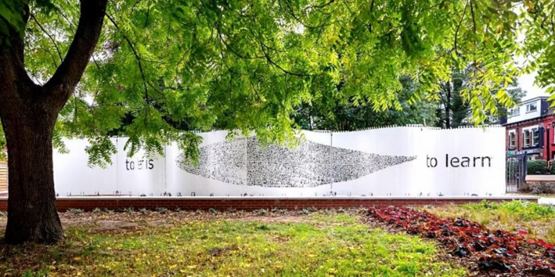 'Curtain' by Juanjo Novella and a tree