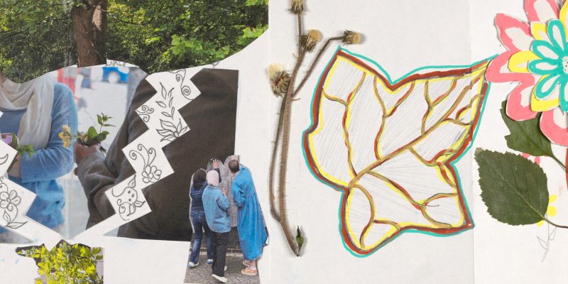 Collage of photographs and drawings of people, sculpture, plants and leaves, on white concertina pages