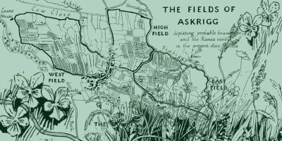 Hand drawn annotated map of the Fields of Askrigg and illustrations of various hedgerow plants in black ink on a green background