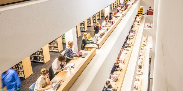 A view from above of students studying at the Edward Boyle Library.