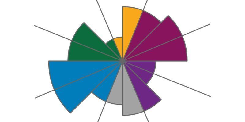 A circular chart of various colours reaching different levels representing skill sets.