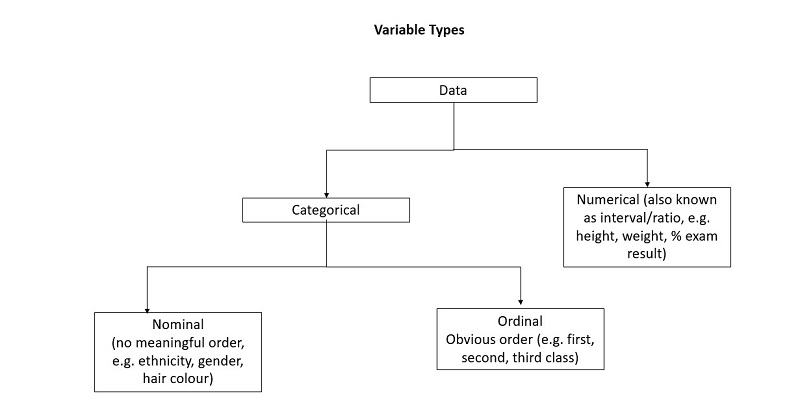 Data variable types split into categorical (with sub divisions of nominal and ordinal) and numerical
