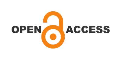 Open access logo with open orange padlock