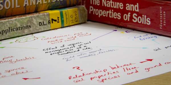 A multi-coloured mind map surrounded by books